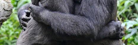 AuliaSaviera's profile banner image