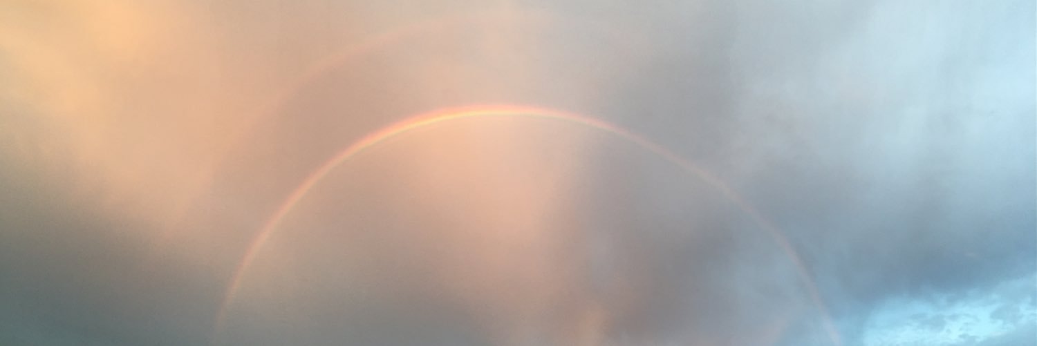 debara_h's profile banner image