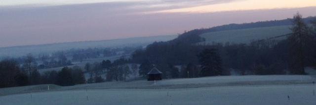 Temple Pro Shop banner