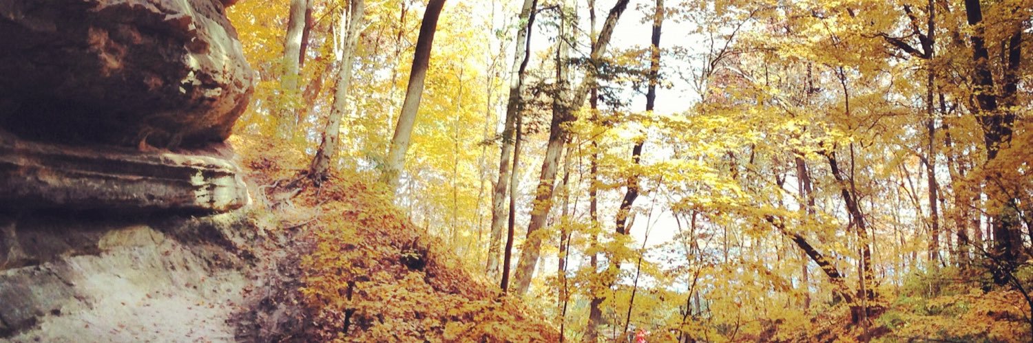 thisisalyssalee's profile banner image