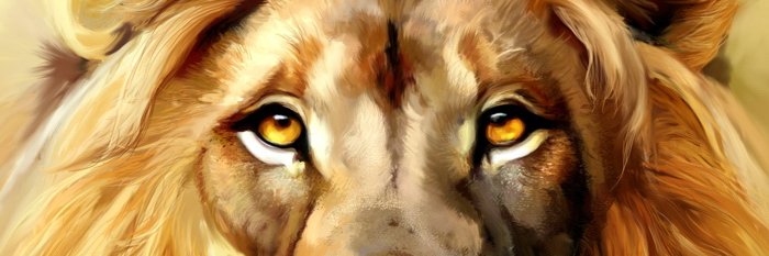 JonathanKine's profile banner image