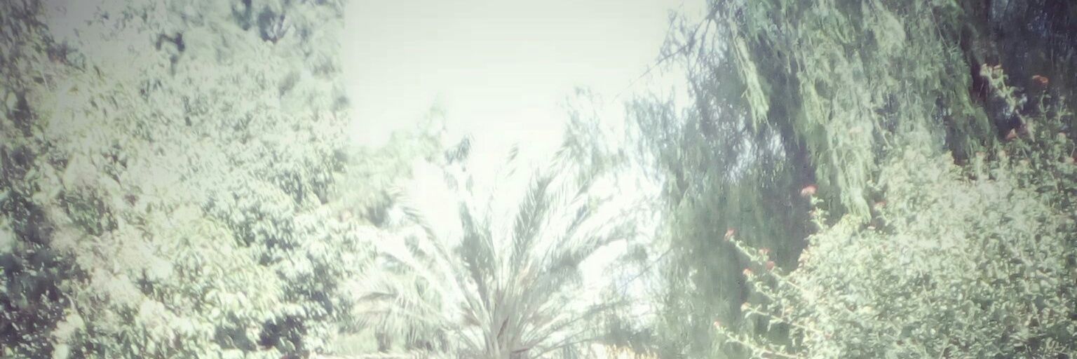 soha2015221's profile banner image