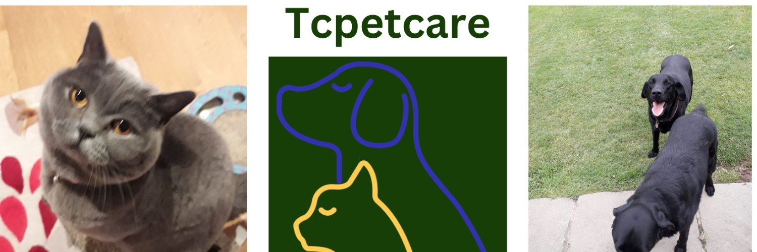 Steve Frost64😺🐕🇬🇧🇺🇦 banner