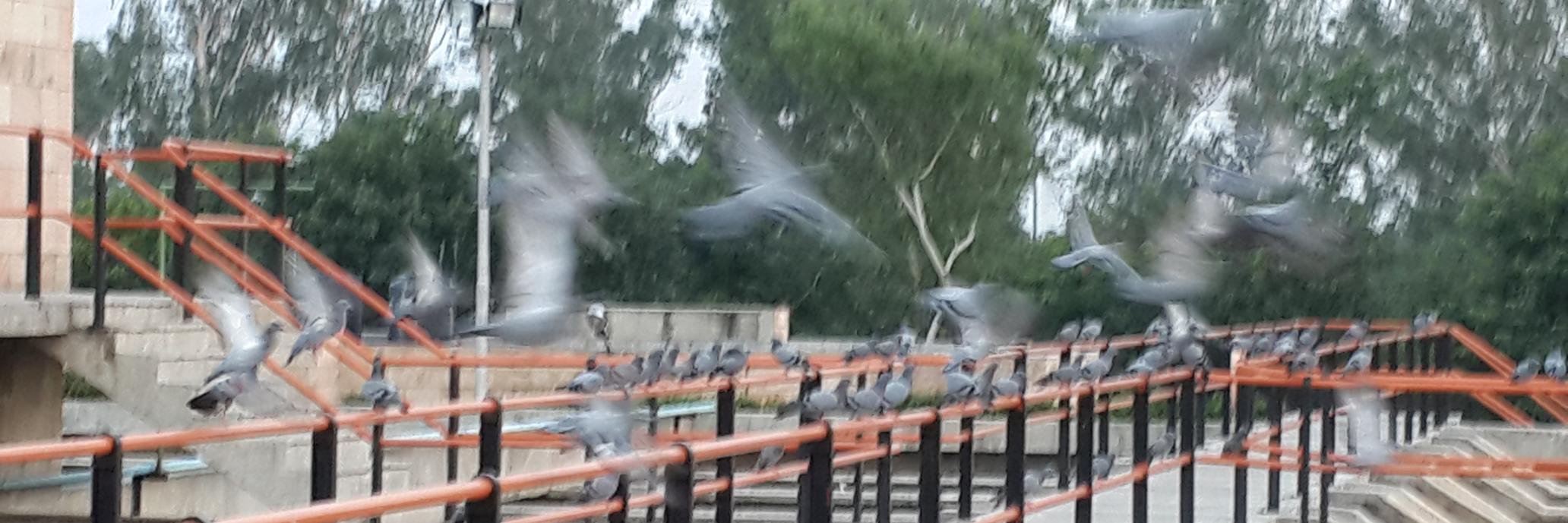 Prarabdha R. Jaipuriar banner