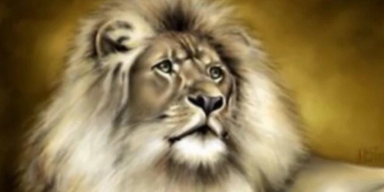 ali2155521's profile banner image