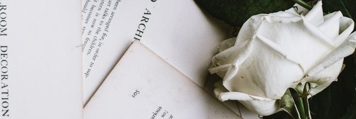 linkanari_'s profile banner image