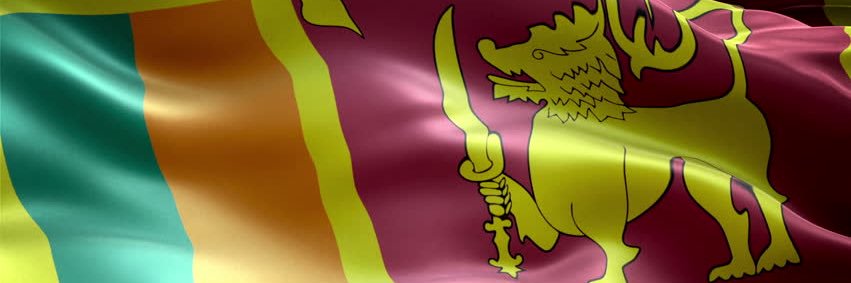 ShevonRPerera's profile banner image