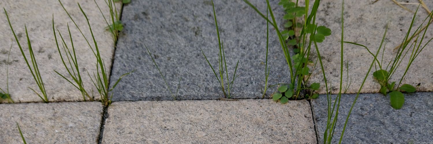 LauraLovesDsign's profile banner image