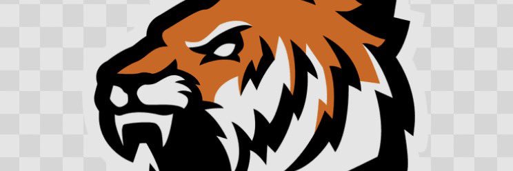 Robbie Bailey banner