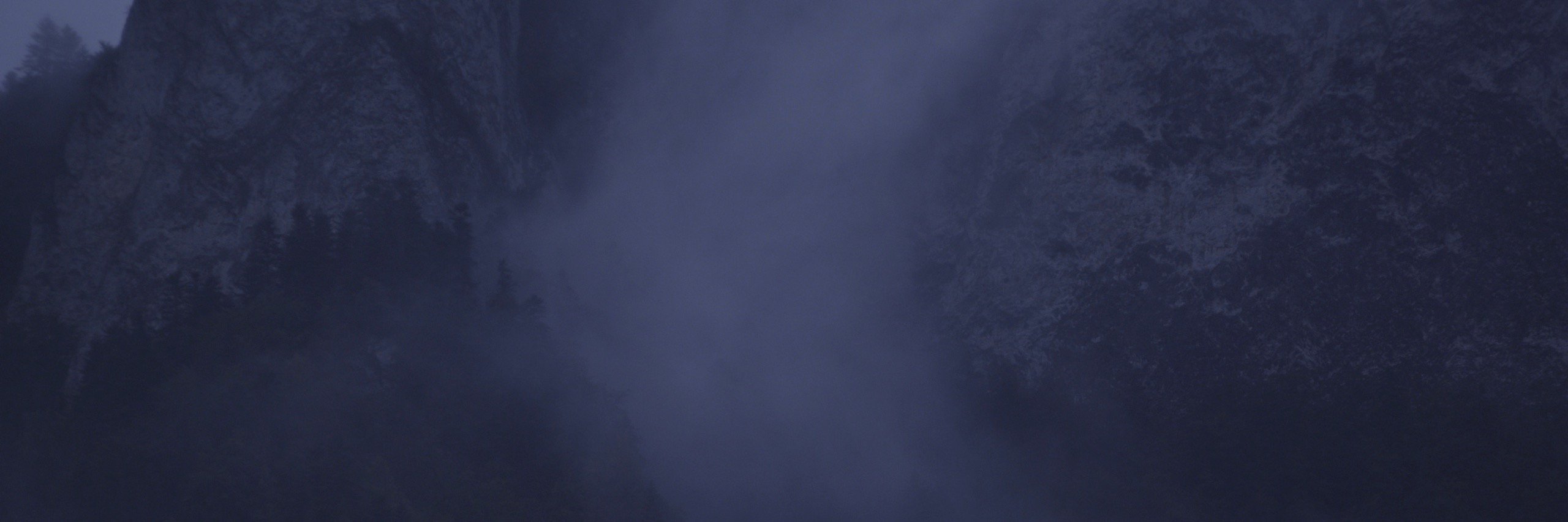 Margarita Jimeno banner