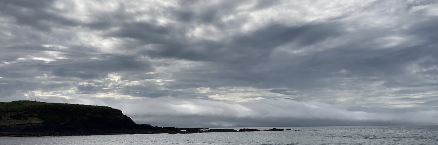 Gráinne Murphy banner