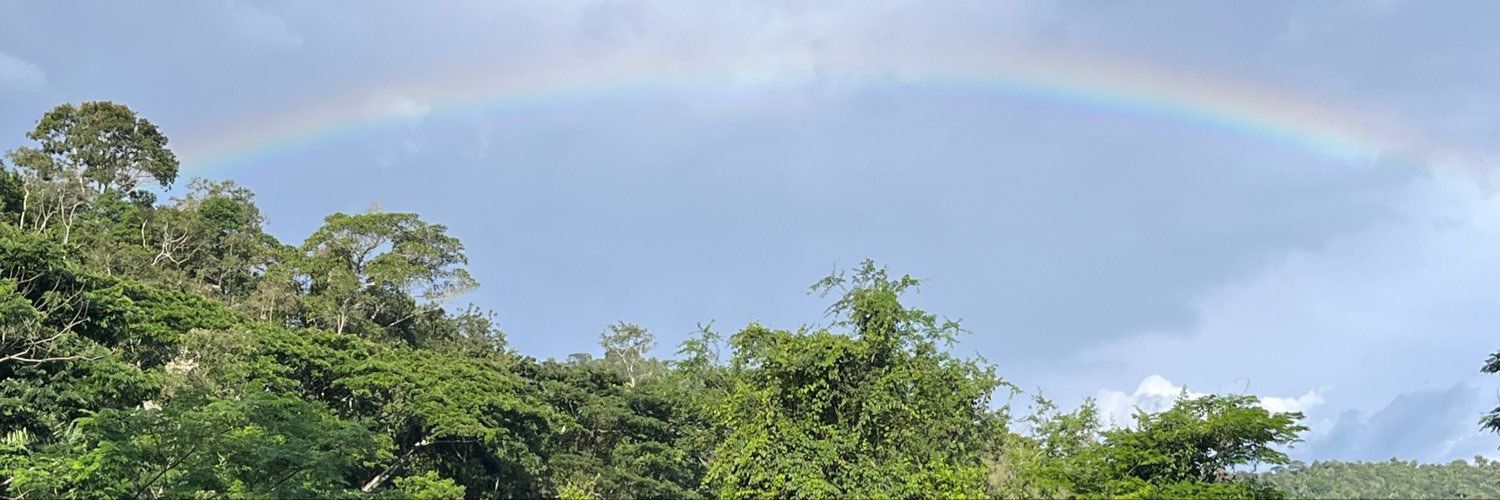 JohannRodz's profile banner image