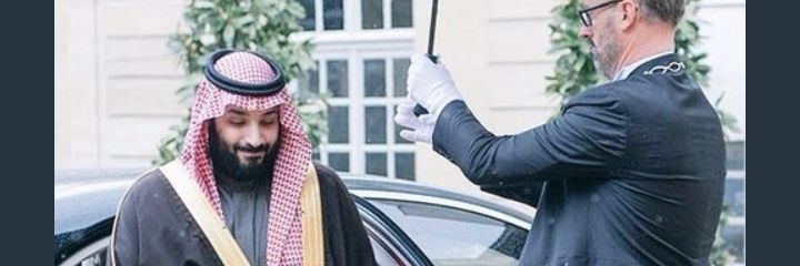 talmabrok's profile banner image