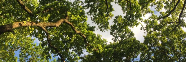 FrancesButler1 Profile Banner