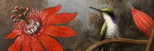 VelinaNiun's profile banner image
