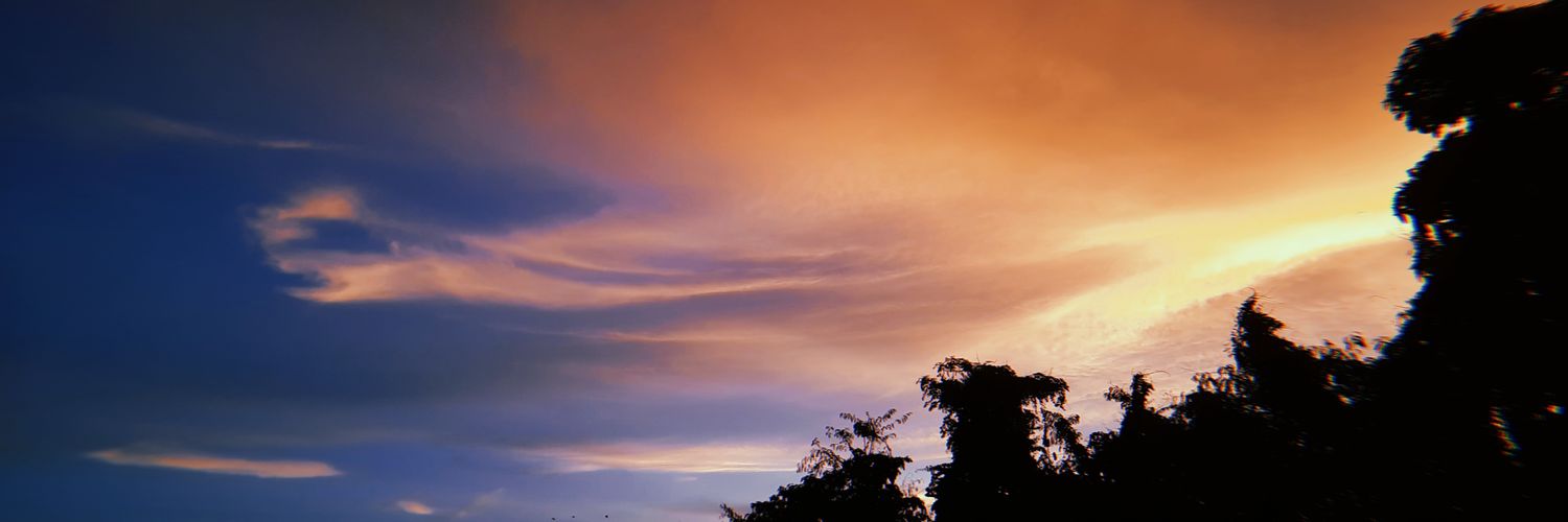 张婵娟 banner