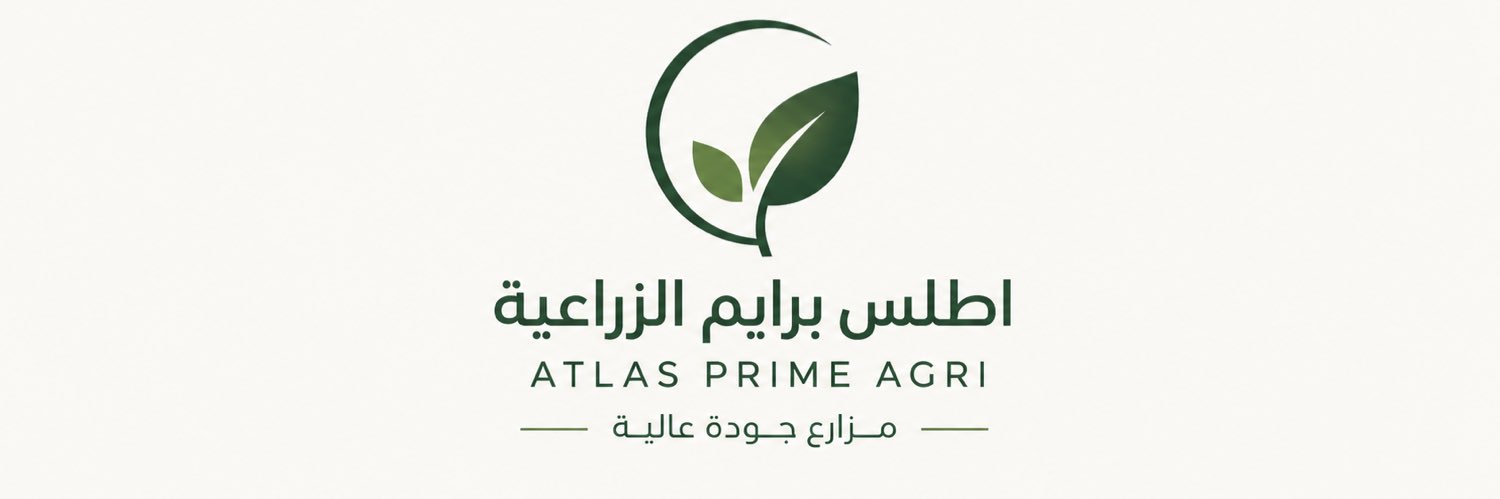 almogahiry's profile banner image