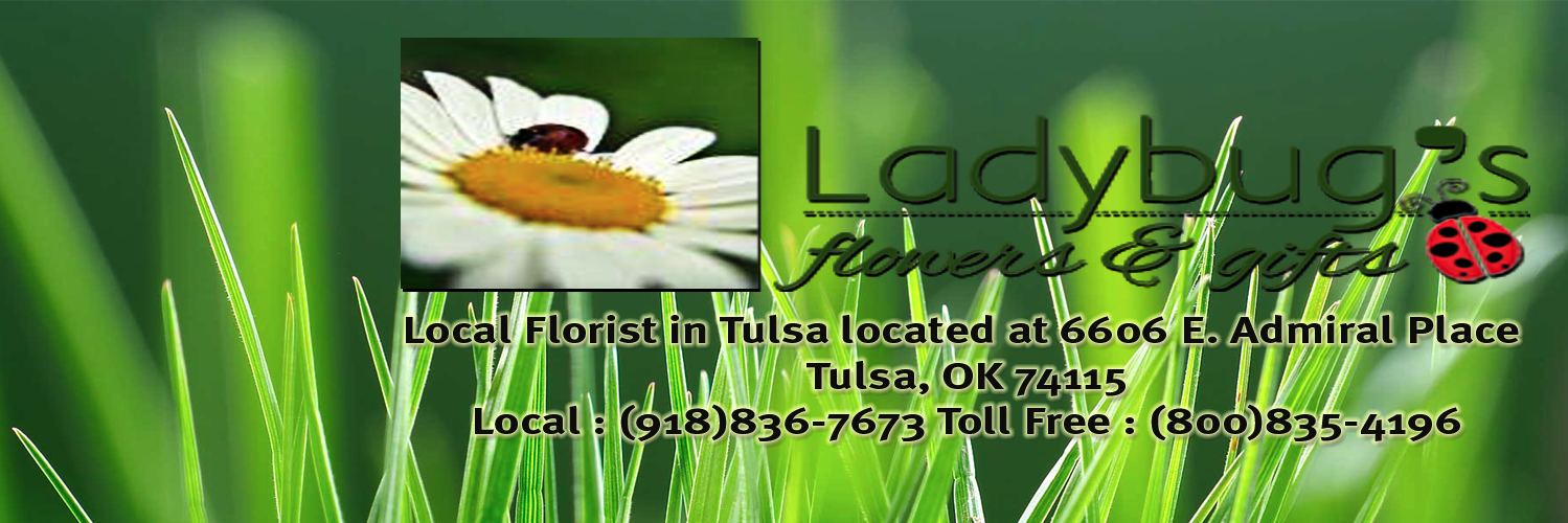 LadybugFlowers1's profile banner image