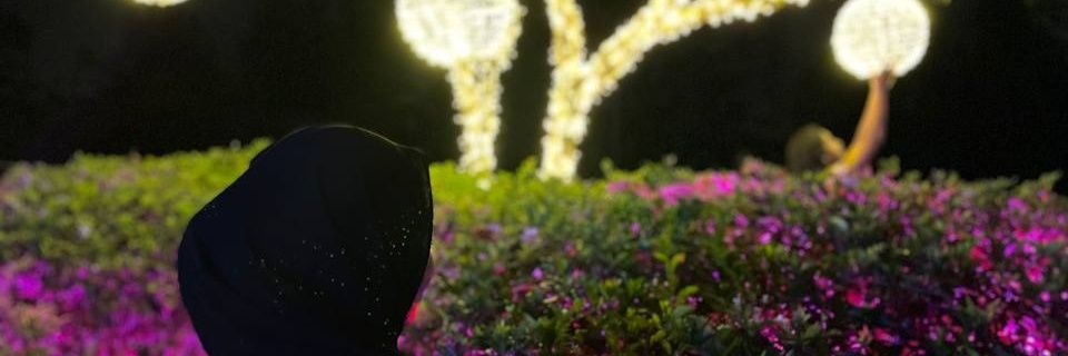 HyeAmirul_'s profile banner image