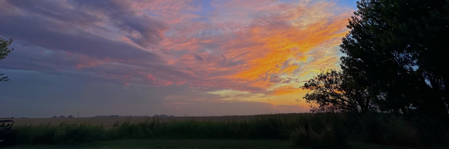 graceisimmons's profile banner image