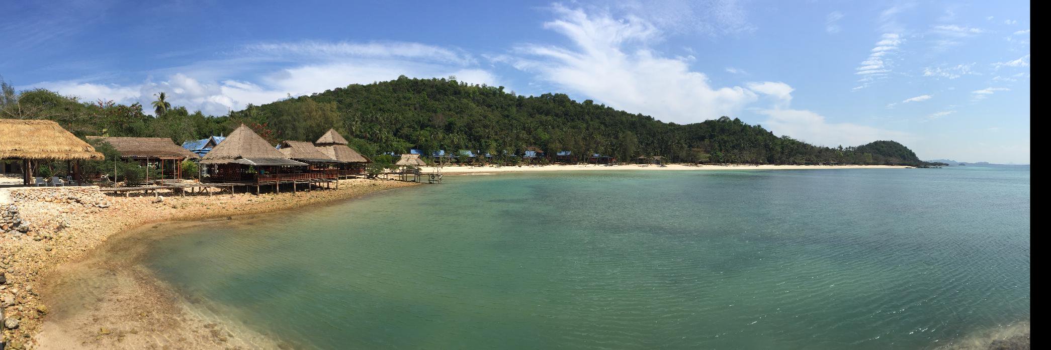 Cameron Stevenson banner