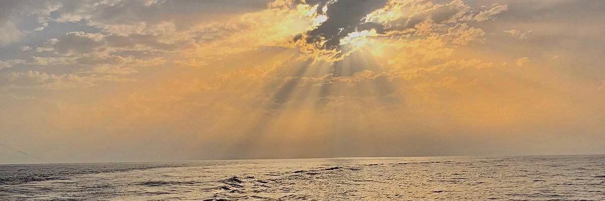 ismanaute's profile banner image