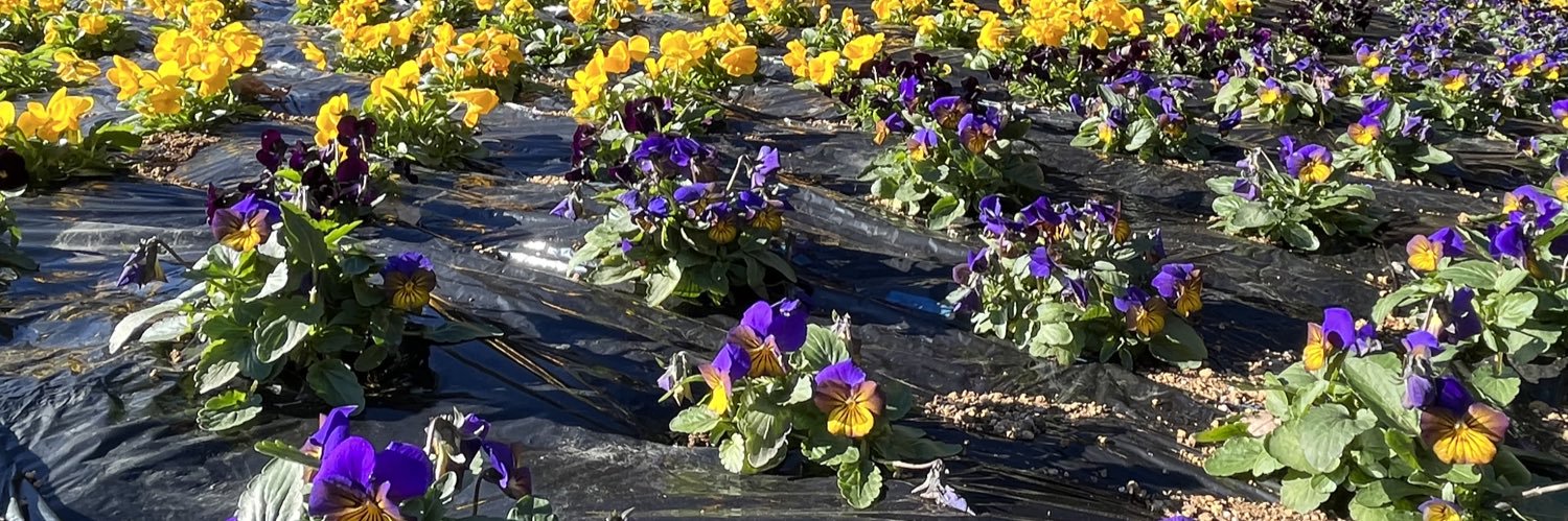 道志村観光公式 banner