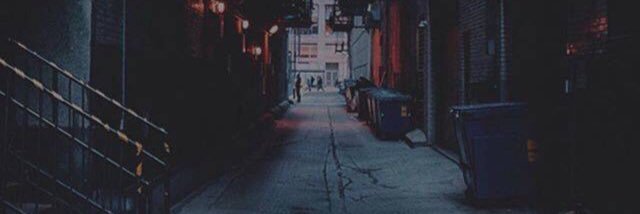 liansus's profile banner image
