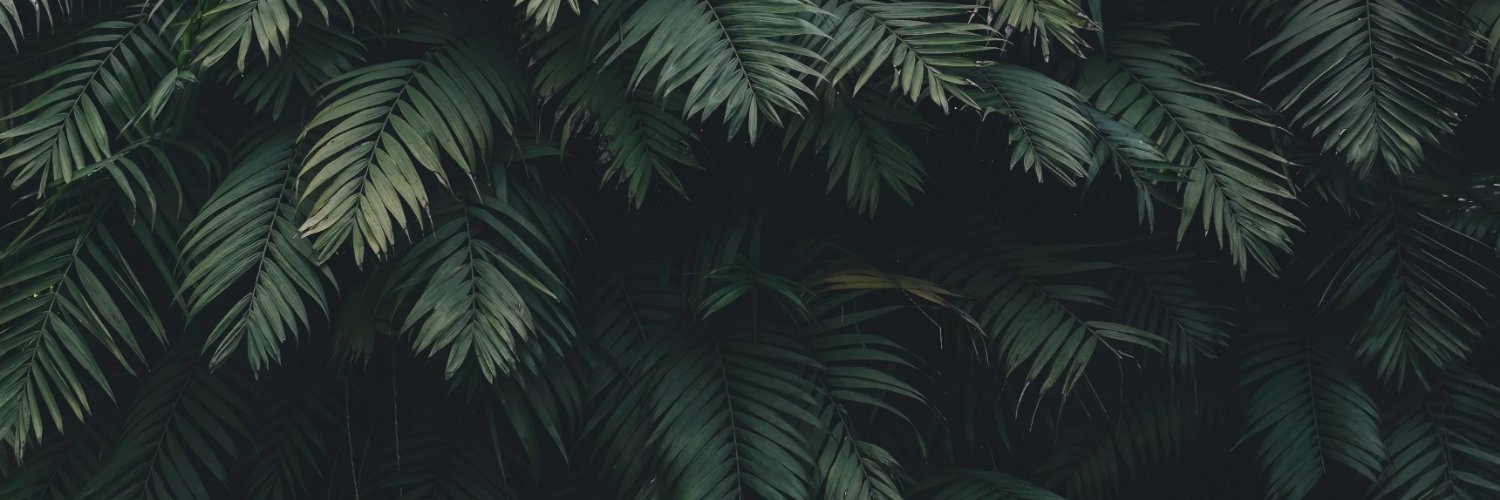 alex banner