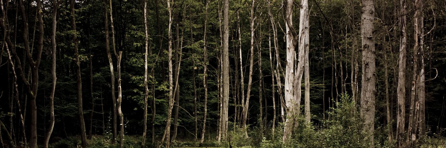 ZamaraAyala's profile banner image