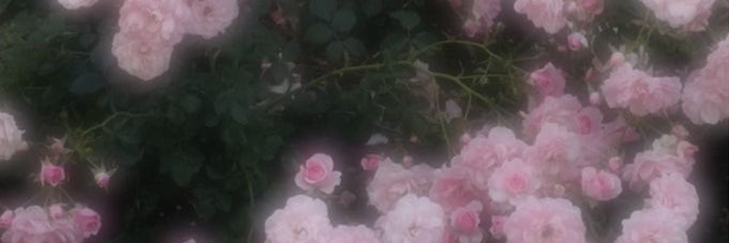 あおい banner