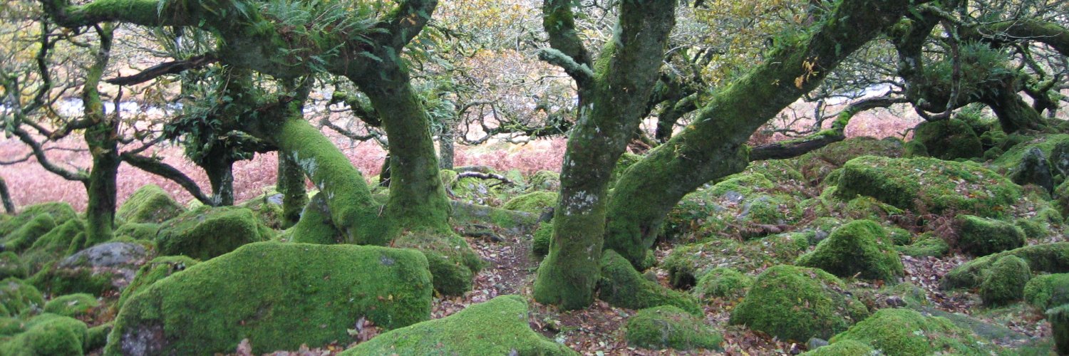 Will Rowlandson banner