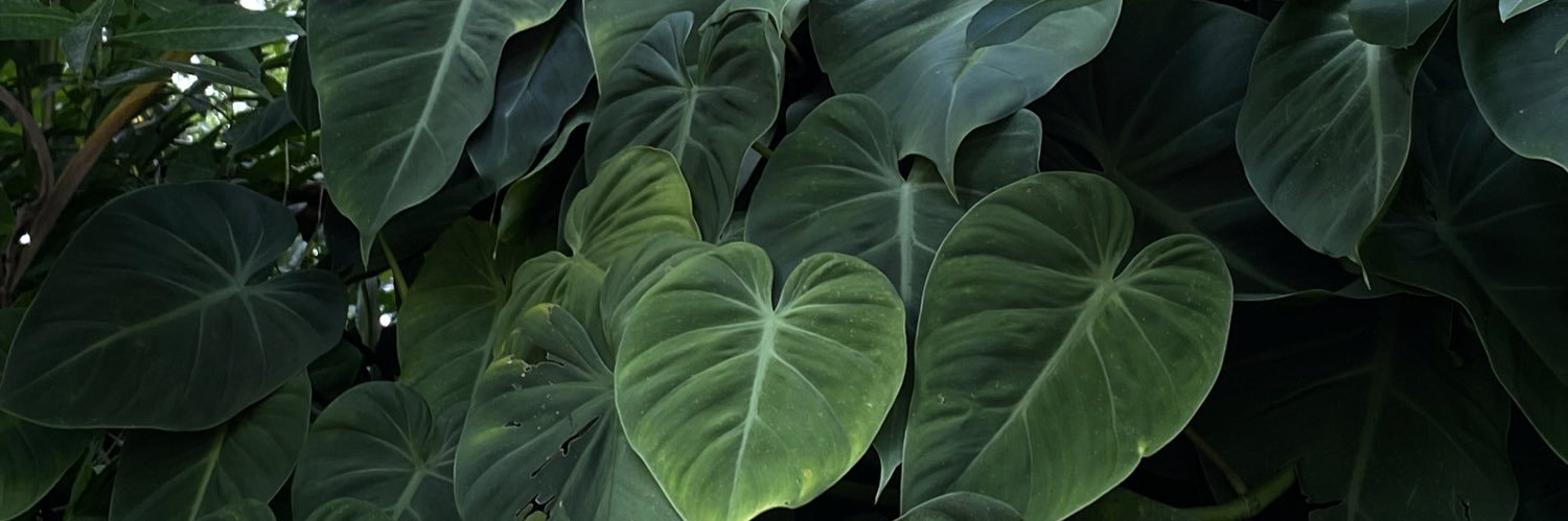 jane_widdop's profile banner image
