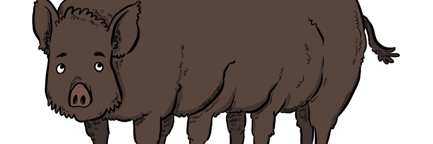 Lheocelix's profile banner image