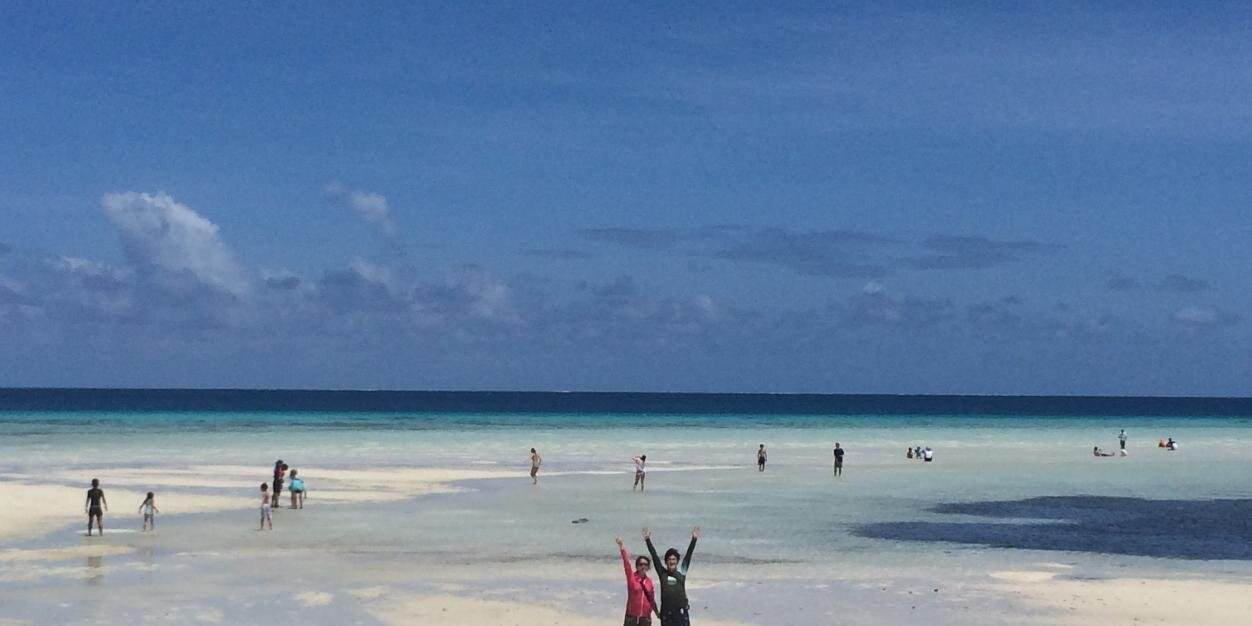 しろいくまもどき banner