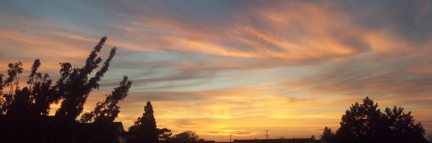 Pontifkoops's profile banner image