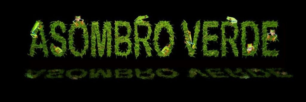 AsombroVerde's profile banner image