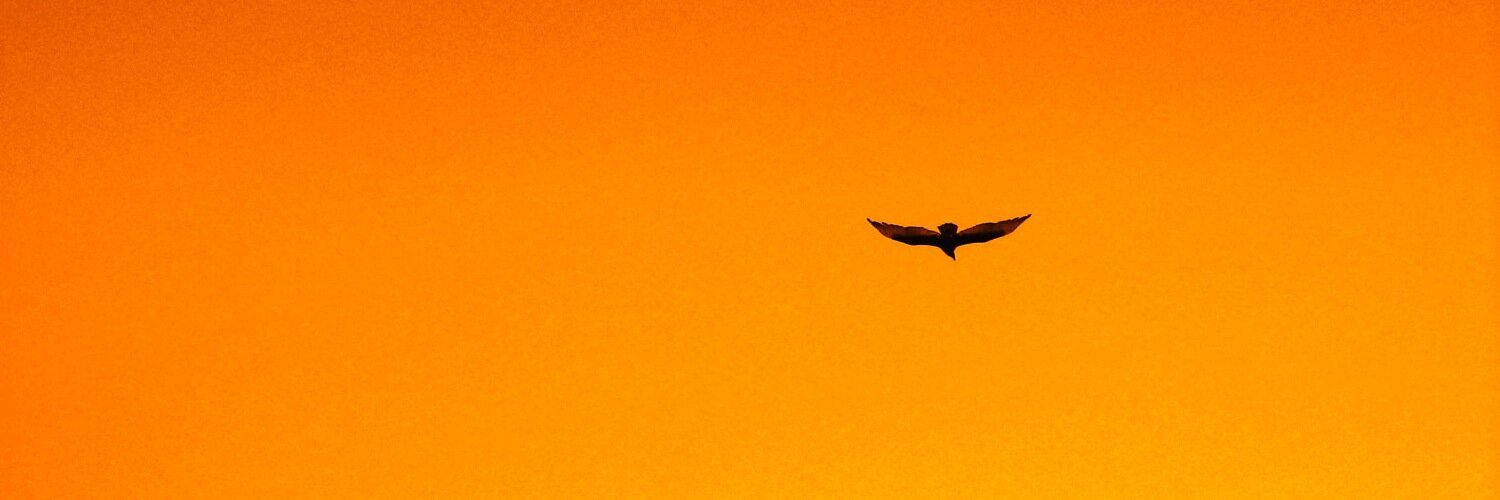 Fredrik Wisløff banner