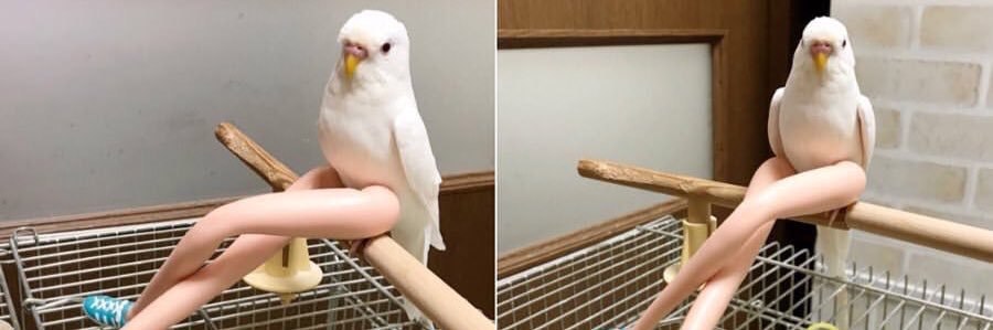 mira, tiny💖✨ banner