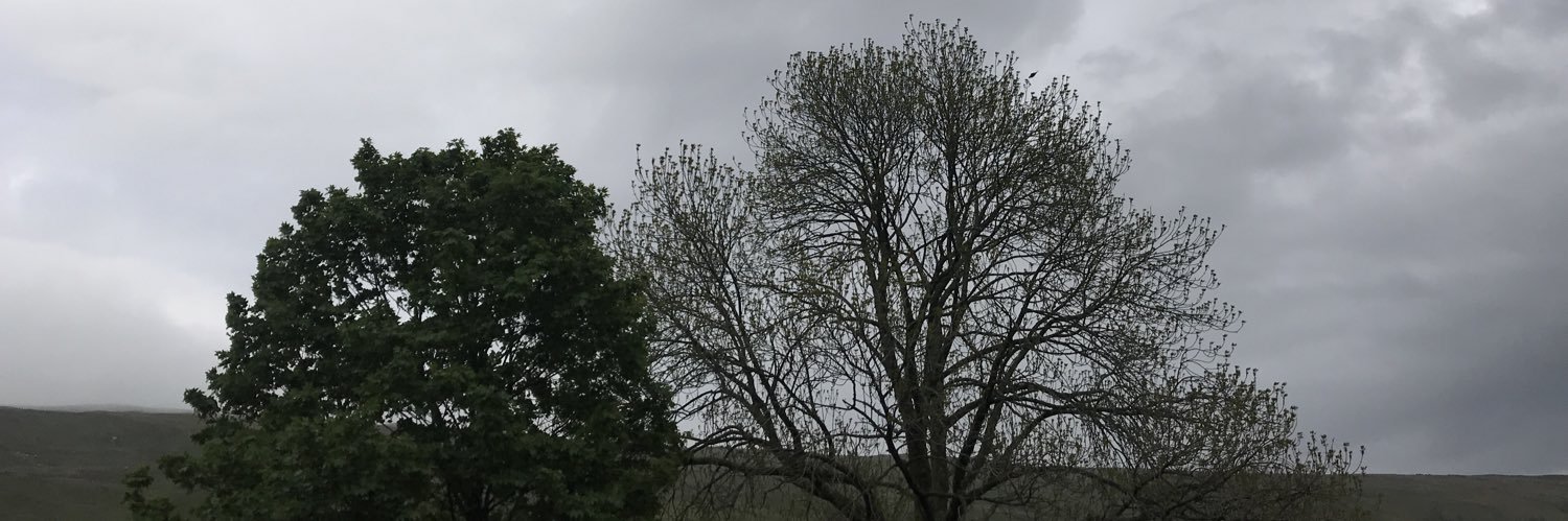 Daniel Swinson banner