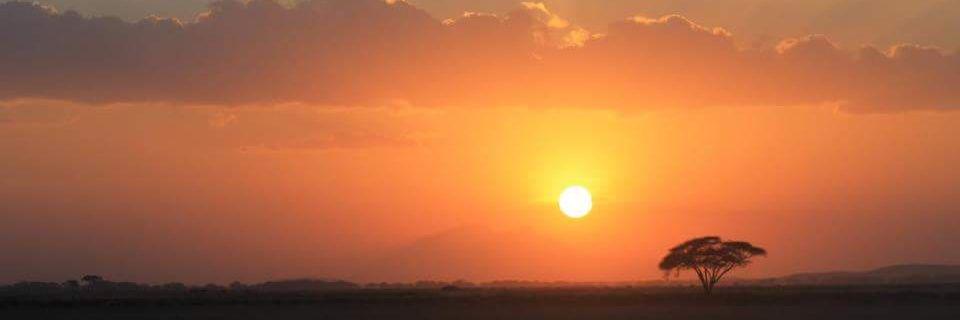 Tom.tries.to.run banner