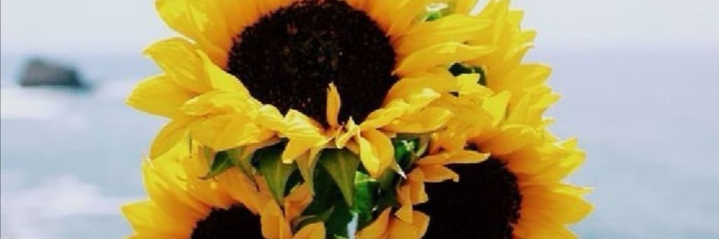 Mailameladi's profile banner image