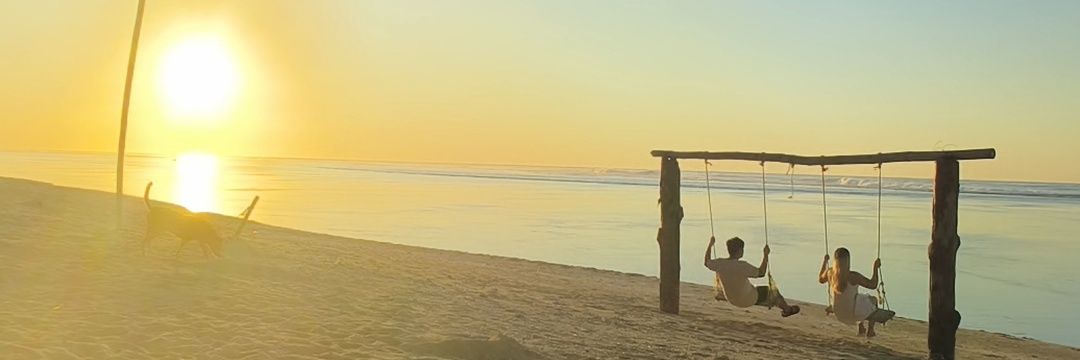 maranijoysv's profile banner image