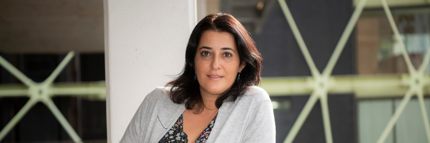 Llibres, Píxels i Valors banner