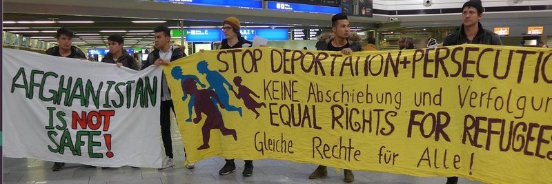 Lea Fauth banner
