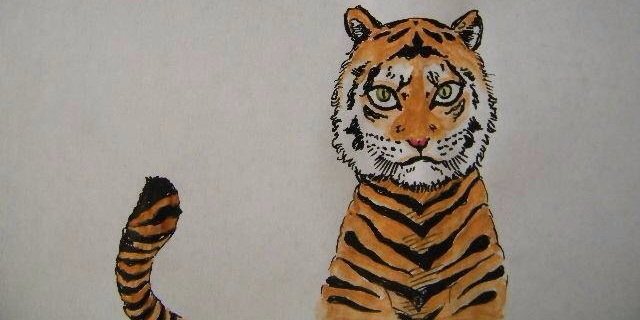 FalsaMagra_'s profile banner image