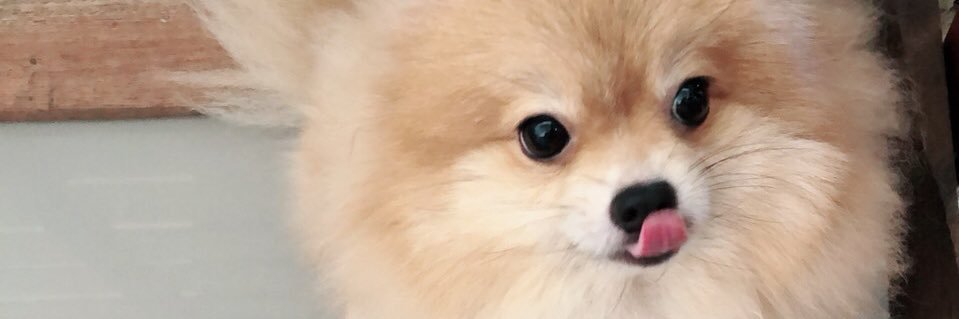 yeonly_pp's profile banner image