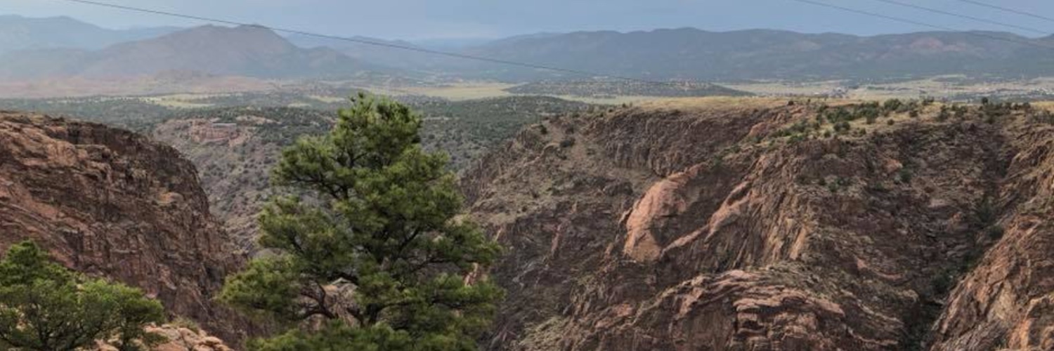 wbradboney's profile banner image