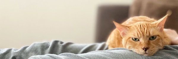 onthehead Profile Banner