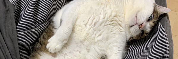 sib Profile Banner